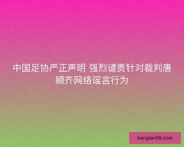 中国足协严正声明 强烈谴责针对裁判唐顺齐网络谣言行为