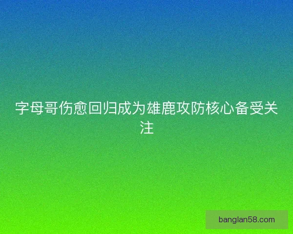 字母哥伤愈回归成为雄鹿攻防核心备受关注 字母哥伤愈回归成为雄鹿攻防核心备受关注